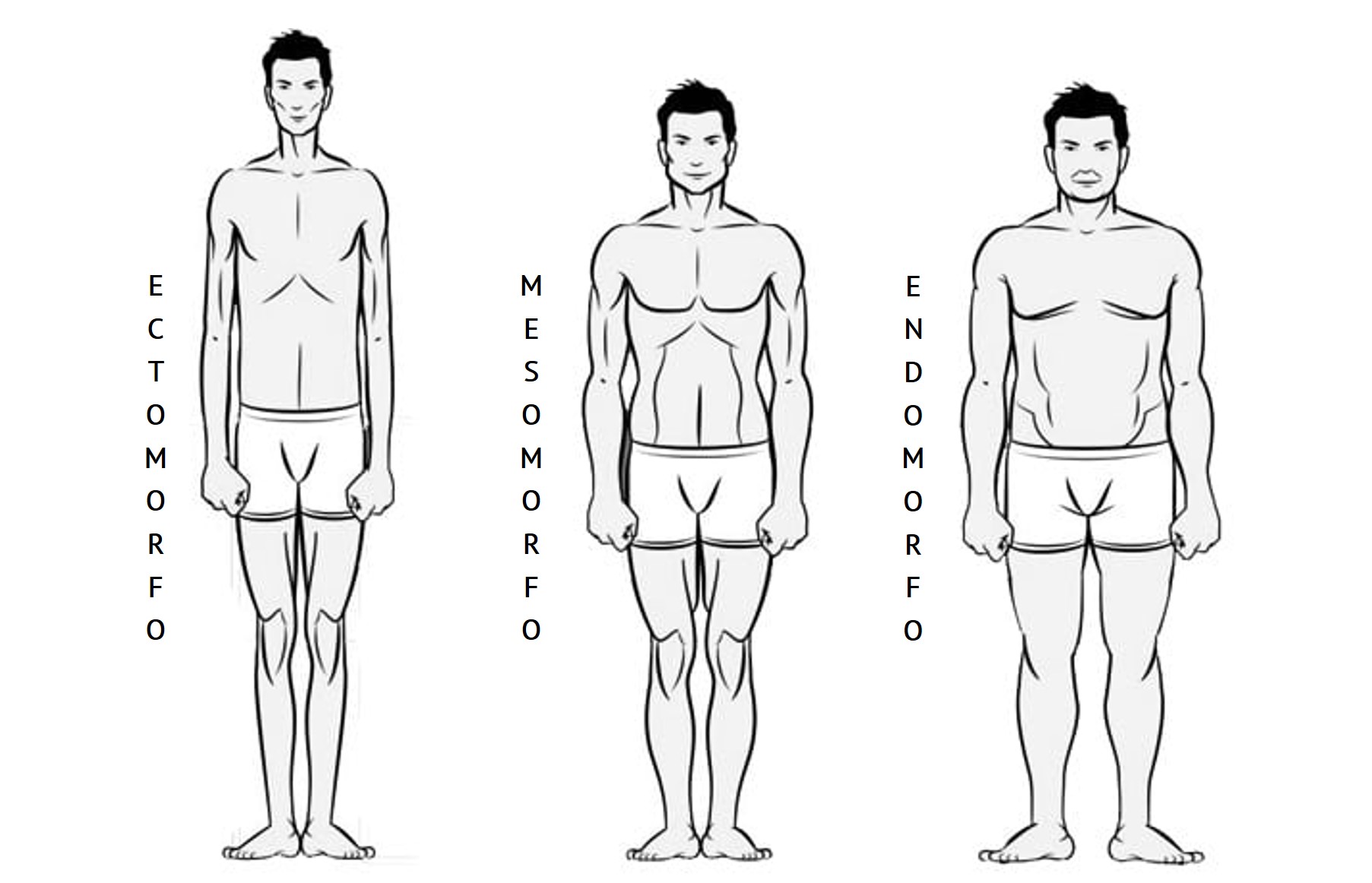 ¿Qué tipo de cuerpo tengo? | Asesoría de Imagen para Hombre | Asesores